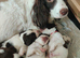 Springer/sprocker pups