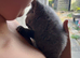 Boy kitten ready now