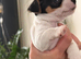 Jack Russell Poppy girl