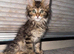 Beautiful Boy REDUCED