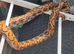 Brazilian Rainbow Boa