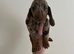 Dachshund