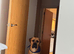 Beautiful (rare) fawn cane corso