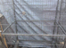 Parrot cage for sale