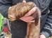 2 hob ferrets