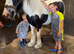 fully loan 20month old gelding