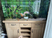 Aqua one 240l 4ft fish tank oak