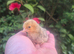 Sablepoot unsexed chicks available
