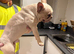 male frenchie cream