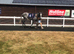 (GBB) Racehorse Shares
