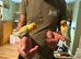 Hand tame beautiful love birds