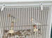 Lesser redpoll pair.