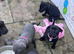 KC reg SBT Chunky Black Girl