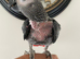 Tame African grey parrot