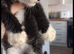 2 male kittens