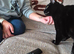 Black Male Cat