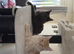 Mainecoon pedigree