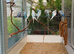 2026 Helicopter budgies