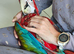 2 Greenwing Macaws currently being reared