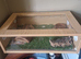 Reptile  vivarium