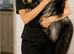 Large MaineCoon