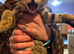 Sweet and loving kittens for sale