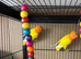 Lutino birds for sale