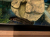 Full set up 2 axolotls and tank