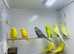 Budgies
