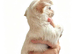 XXS Chihuahua Puppys (ReadyToLeave)
