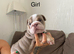 English bulldogs