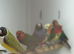 Gouldian finches