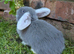 5 French lop