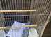 Flight cages 2 off on wheels