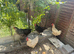 4 chickens 2 chicks