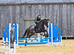 Quality thoroughbred mare out eventing