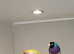 Cock gouldian finch