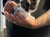 3 beautiful kittens ready this weekend