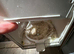 Breeding pair canaries for sell