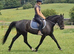 Super stunning mare
