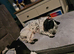 American bully cross dalmation