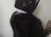 3 left, Laperm mix kittens
