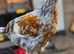 Brahma Cockerells
