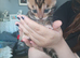 Butiful bengal kittern