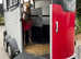Horse Trailer Hire