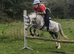 Ride and drive first pony