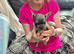 Pedigree French Bulldog Puppies for sale