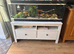Corn Snake and Enclosure