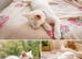 Fluffy kittens