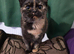 Female tortoiseshell british shorthair